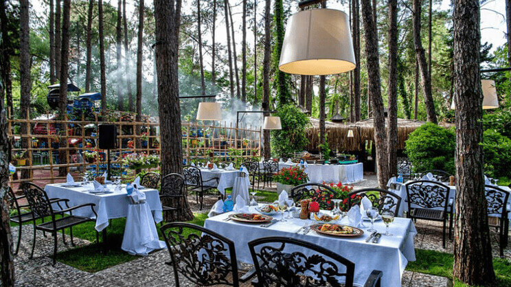 Gypsophila Club Marine